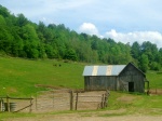 Vermont barn with cows